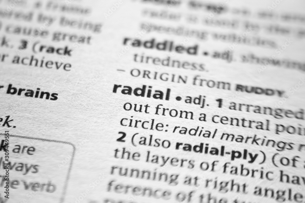 Fototapeta premium Word or phrase Radial in a dictionary.