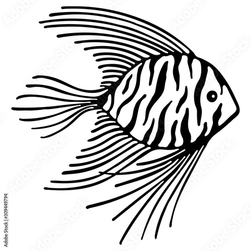 Cute marine fish isolated on white background. Monochrome lineart cartoon vector illustration. Hand drawn fish isolated sea life elements. Design used for shop aquariums, oceanariums.