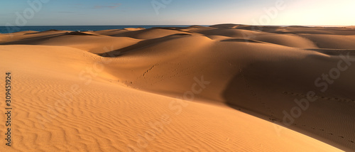 fondo 1. background. dunas del parque natural de Maspalomas en la isla de Gran Canaria (España)