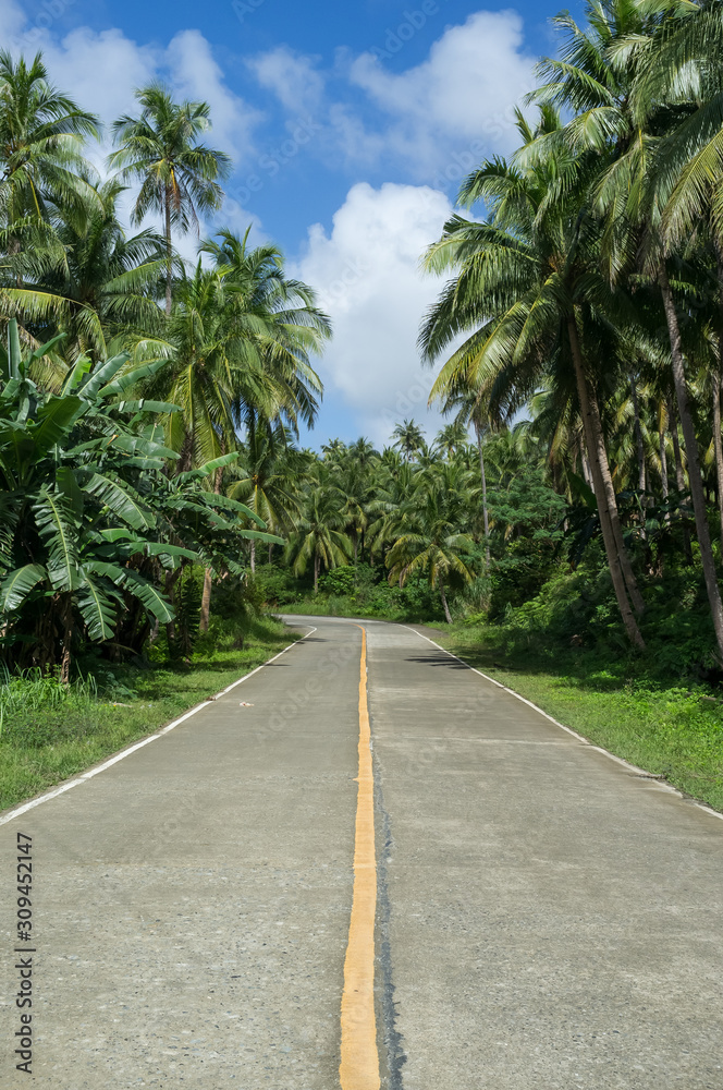 Tropical empty road Tropical empty road