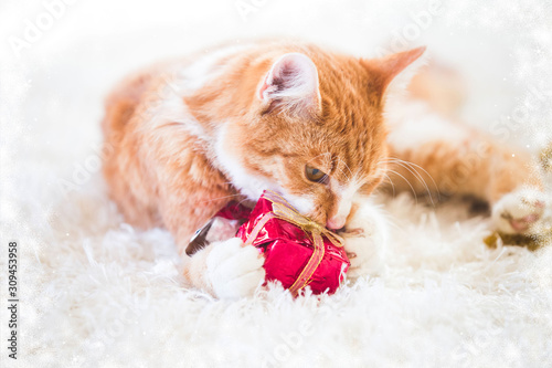 Orange cat playing with Christmas decoration