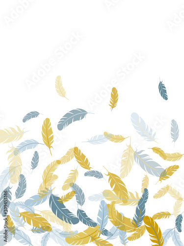 Fluffy twirled feathers on white design.