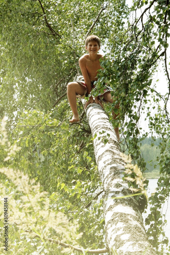 The boy sits and indulges in the trunk of a fallen birch. Russian boy, 12 years old