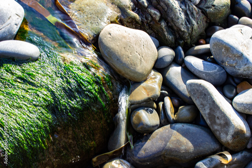 Coastal Rock Pools, West of Ireland