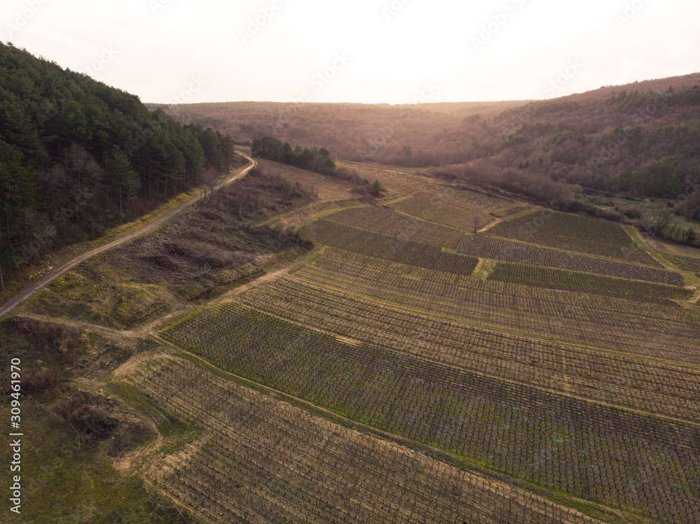 vue aérienne des vignes de bourgogne en hiver