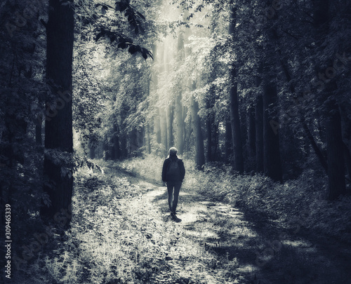 woman in the forest. man walks in the woods. spring fog