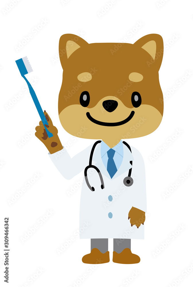 イラスト素材 犬を擬人化したお医者さん 獣医師 のキャラクター 柴犬 歯ブラシ 歯科医 Stock Vector Adobe Stock