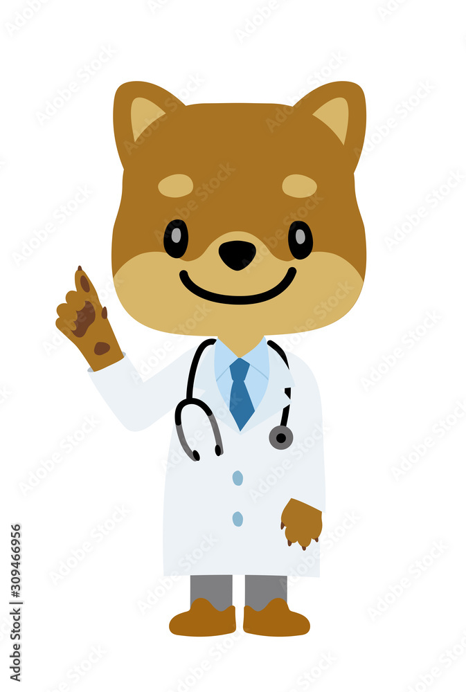 イラスト素材 犬を擬人化したお医者さん 獣医師 のキャラクター 柴犬 指差し Stock Vector Adobe Stock