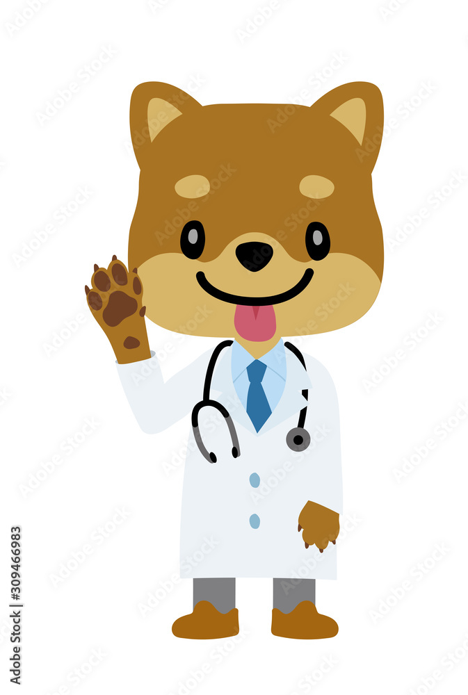 イラスト素材 犬を擬人化したお医者さん 獣医師 のキャラクター 柴犬 挨拶のポーズ Stock Vector Adobe Stock