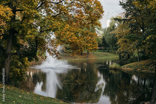 Fototapeta Naklejka Na Ścianę i Meble -  autumn in the park