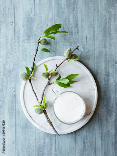 Almond tree branch with fresh almonds and a cup of almond nut milk photo