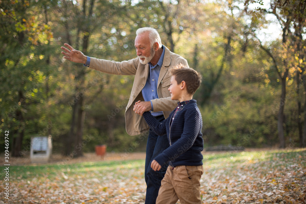 Fototapeta premium Grandfather walking with his grandson and showing him beautiful plants and trees in park.