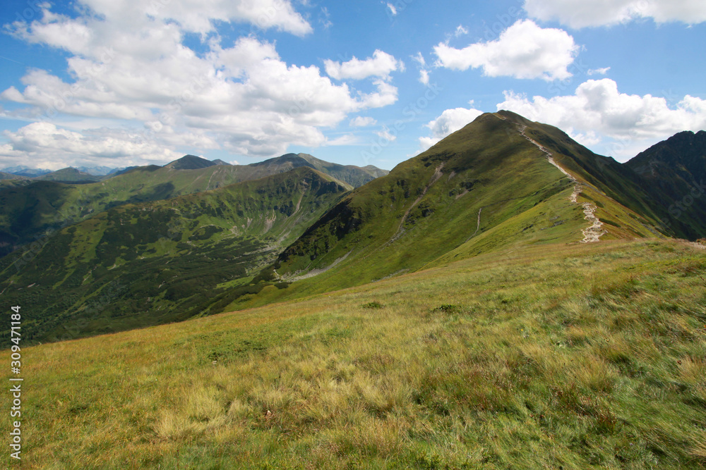 Alpine zone in Western Tatra Mountains (with mount Wolowiec), Poland