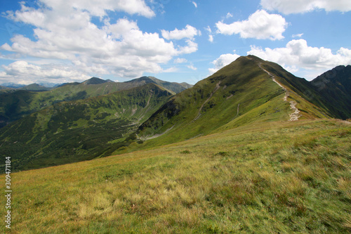 Alpine zone in Western Tatra Mountains (with mount Wolowiec), Poland