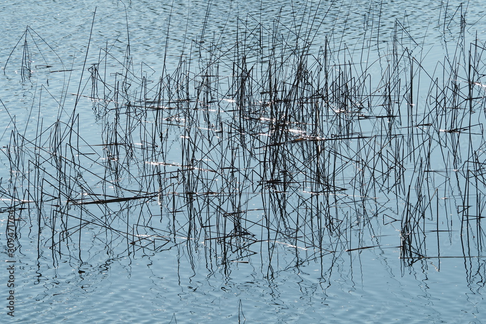 Fototapeta premium Canneto sull'acqua