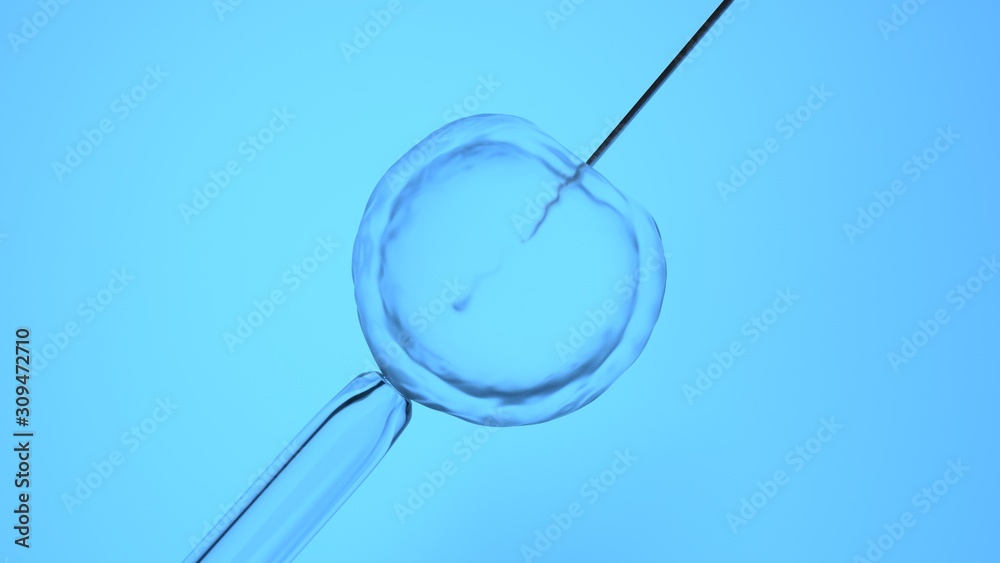 In vitro fertilization or artificial insemination, 3D-rendering