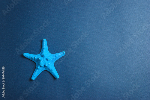 Beautiful blue starfish on the dark blue background. Copy space, flat lay