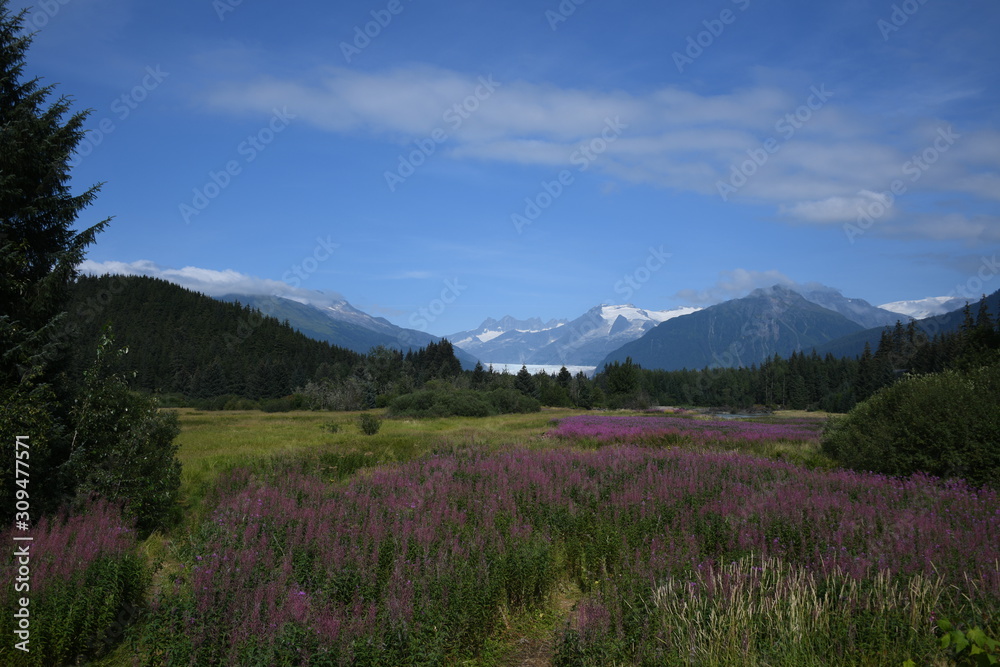 Mendenhall Glacier Mendenhall Glacier