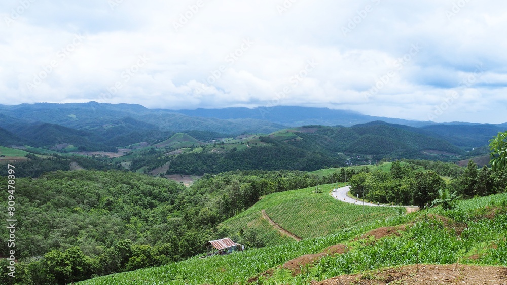The deforestation problem caused from the expansion of corn farming area by ethnic groups (hill tribe people) in mountainous area of Northern Thailand.