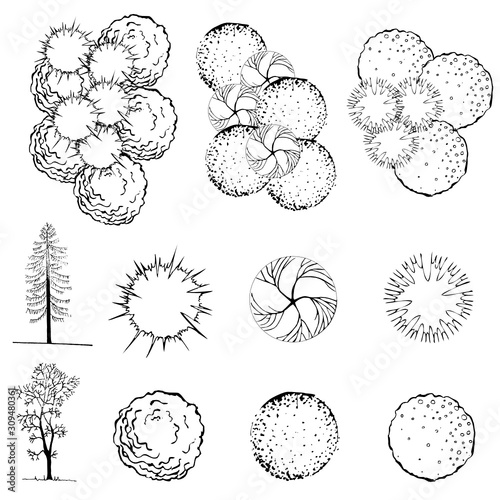 A set of treetop symbols, for architectural or landscape design