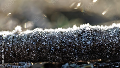 hoarfrost and ice crystalls on a branch photo
