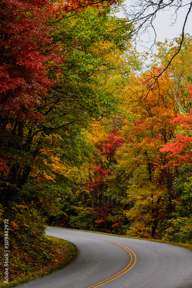 Driving on a fall road - Blue Ridge Parkway