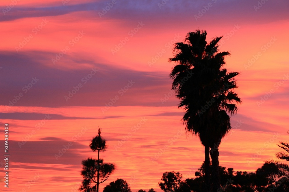 Spectacular sunset with pink color Spectacular sunset with pink color