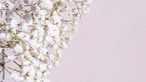 Beautiful bouquet of white flowers with shadows on light pink background.