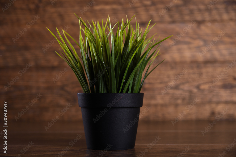 Artificial flowers grass different form in a pot on wooden background close up with copy space and text Artificial flowers grass different form in a pot on wooden background close up with copy space and text