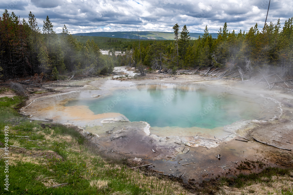 Emerald Spring at hot volcanic pool in Yellowstone Emerald Spring at hot volcanic pool in Yellowstone