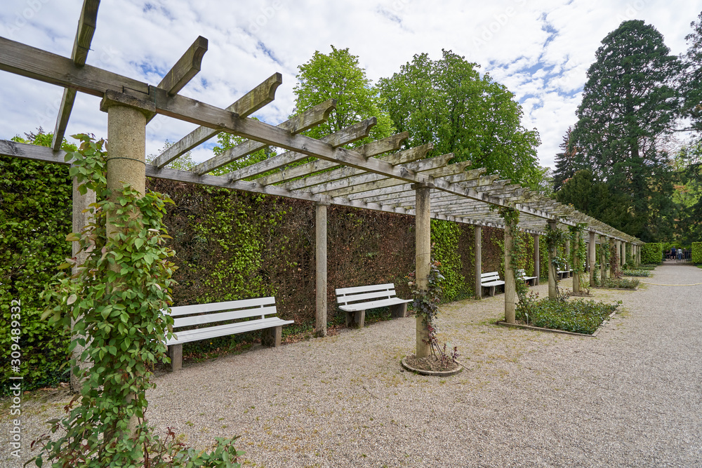Beautiful long pergola with rose climbing plants in a European public park in Baden Baden Beautiful long pergola with rose climbing plants in a European public park in Baden Baden