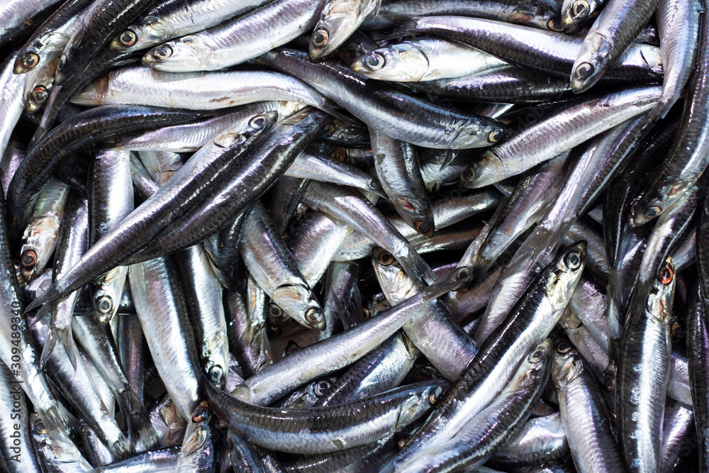 Image of heap of anchovies hunted on bench. Image of heap of anchovies hunted on bench.