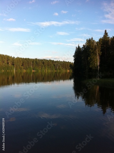 Lake in the forest on summer