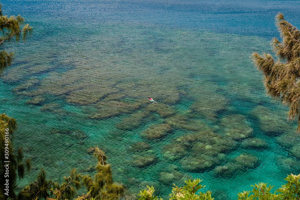 Obraz premium Snorkling the Reefs
