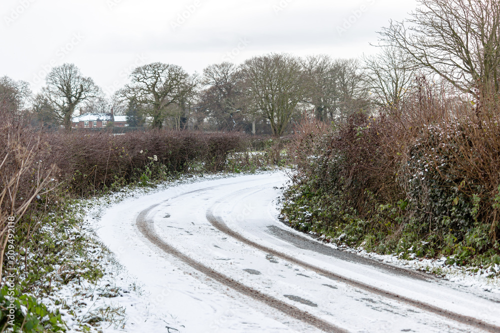Fototapeta premium road in winter forest