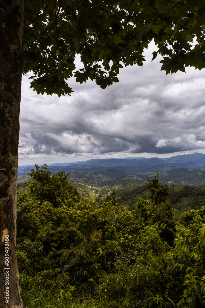 Paisagem mostrando natureza preservada na região da Serra da Mantiqueira entre São Paulo e Sul de Minas Gerais. Brasil. 