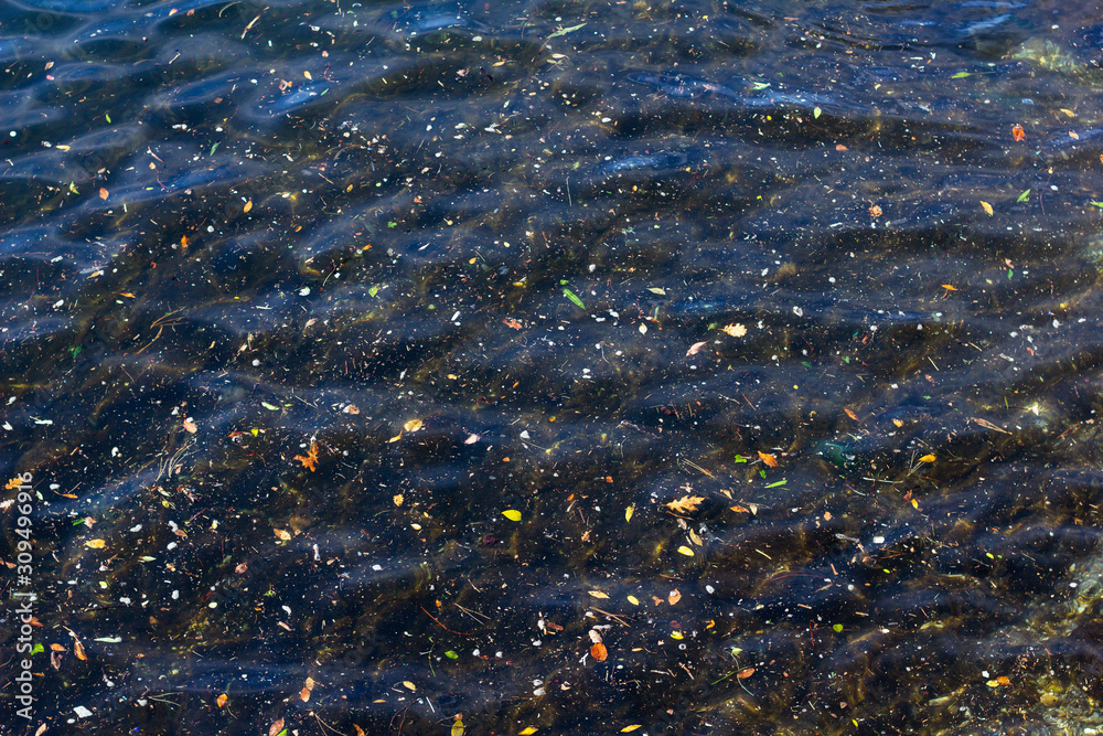 Acqua del lago di Como tra foglie e residui che galleggiano. Si può vedere il fondo del porto. Acqua del lago di Como tra foglie e residui che galleggiano. Si può vedere il fondo del porto.
