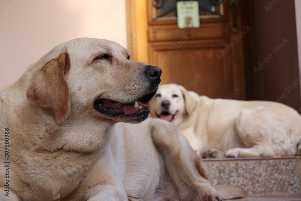Best Friends Best Friends