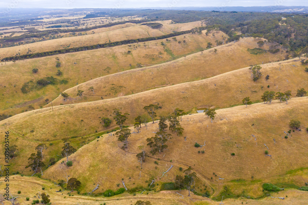 Rolling green hills and trees in farmland south of Adelaide in Australia Rolling green hills and trees in farmland south of Adelaide in Australia