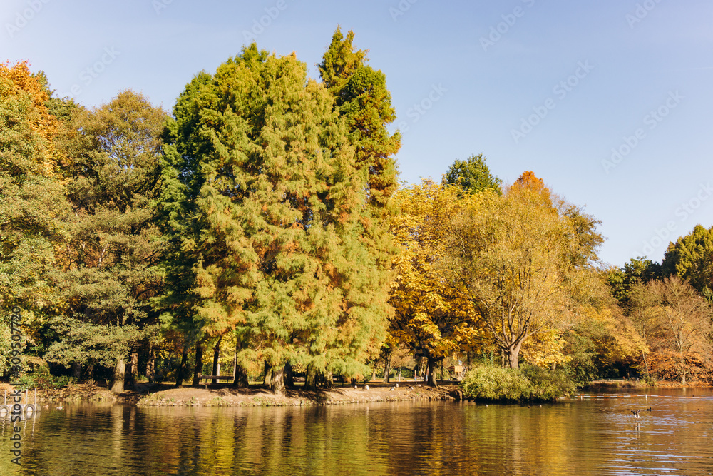 Reflection of autumn trees in the lake. Beautiful autumn landscape on the lake. Beautiful autumn landscape. Reflection of autumn trees in the lake. Beautiful autumn landscape on the lake. Beautiful autumn landscape.