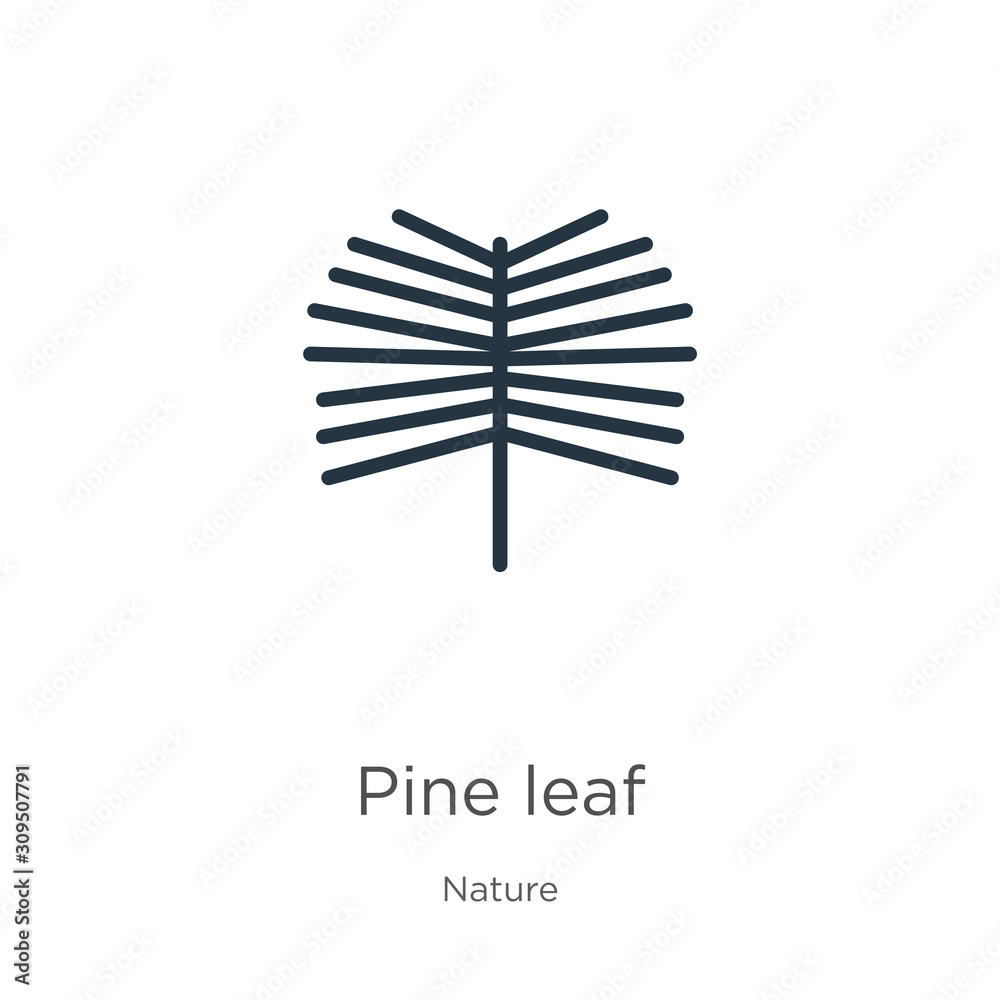 Pine leaf icon vector. Trendy flat pine leaf icon from nature collection isolated on white background. Vector illustration can be used for web and mobile graphic design, logo, eps10 Pine leaf icon vector. Trendy flat pine leaf icon from nature collection isolated on white background. Vector illustration can be used for web and mobile graphic design, logo, eps10