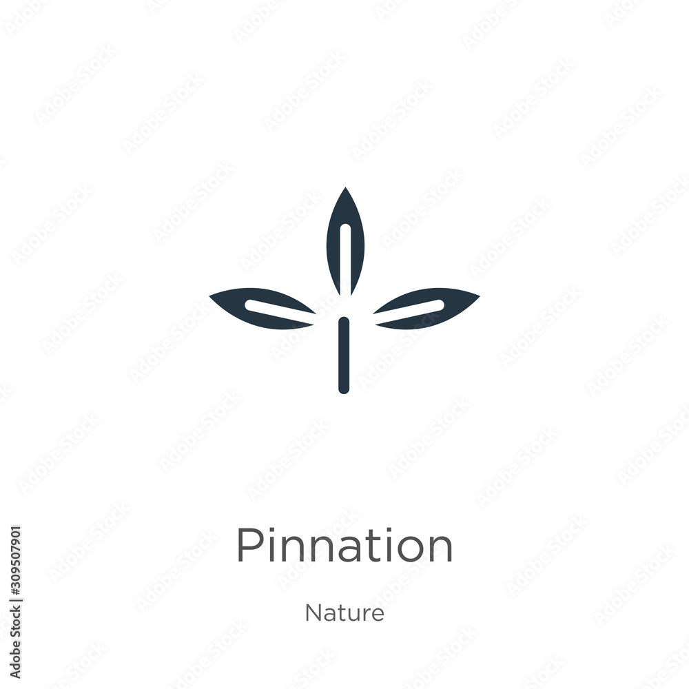 Pinnation icon vector. Trendy flat pinnation icon from nature collection isolated on white background. Vector illustration can be used for web and mobile graphic design, logo, eps10