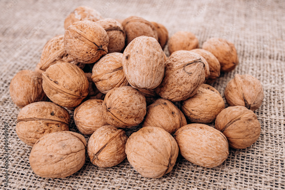 Mature walnuts on woven fabric. Nuts on linen fabric Mature walnuts on woven fabric. Nuts on linen fabric