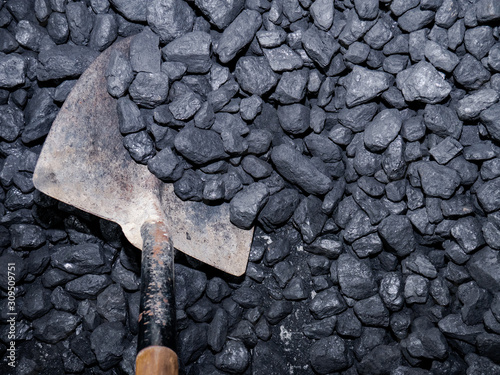 Metal shovel with wooden handle collecting carbon stones from a pile photo