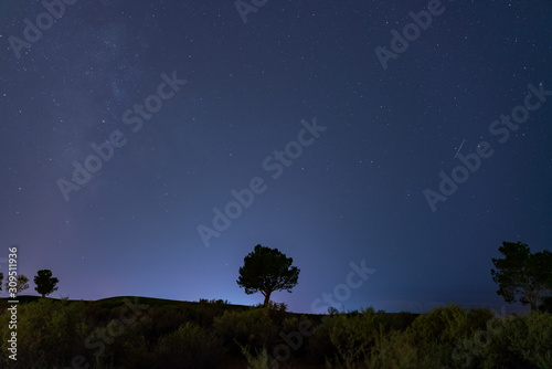 Beautiful night sky with a tree around Page