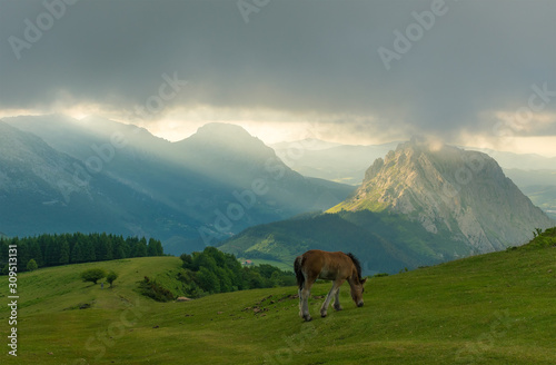 Sunset in a cloudy day