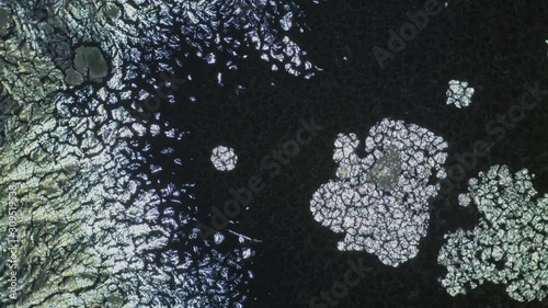 Crystallization. Crystal Growth Chemical Reaction Microscop Timelapse photo