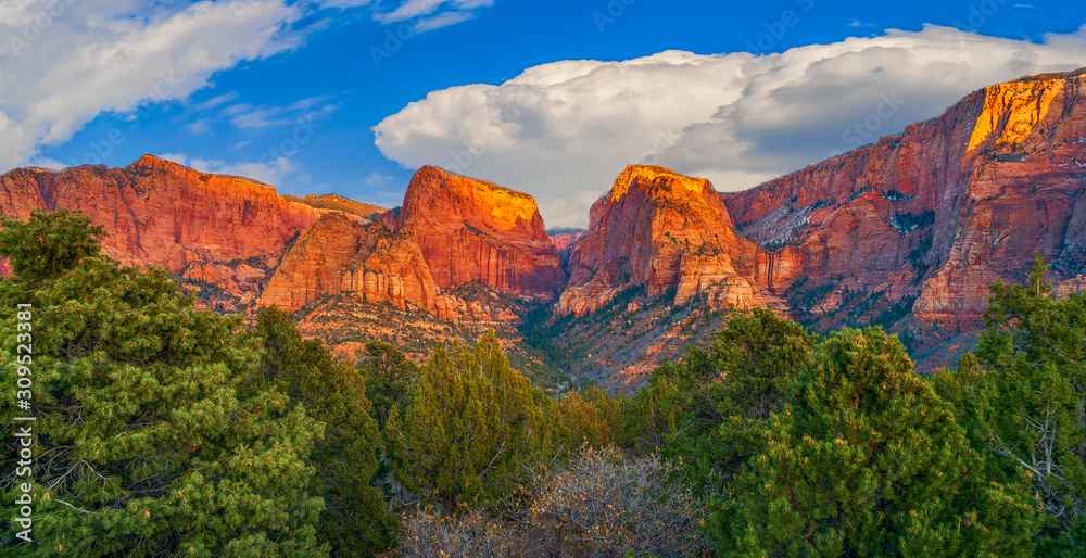 Fototapeta premium Panoramic view of Kolob Canyons at sunset.Zion National park.Utah.USA
