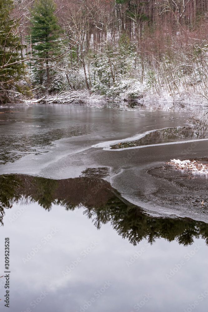 Fototapeta premium frozen water