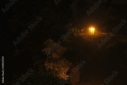 garden lights at night